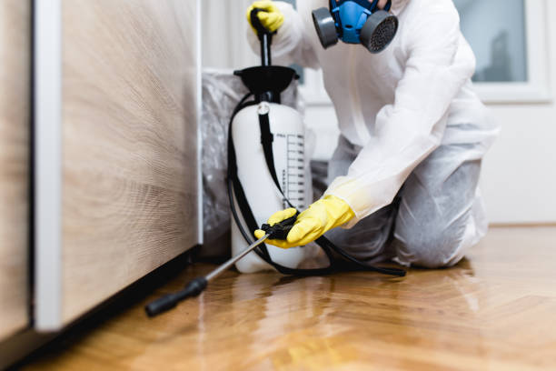 Best Pest Control Near Me  in Mount Pleasant, PA