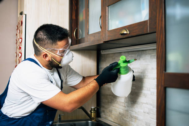 Best Flea Control Services  in Mount Pleasant, PA