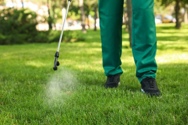 Best Mosquito Control Services  in Mount Pleasant, PA