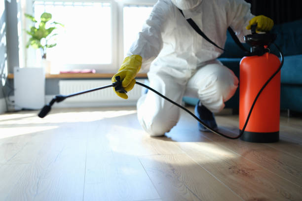 Reliable Mount Pleasant, PA Pest Control Solutions