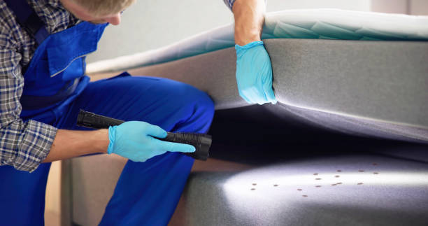 Best Best Pest Control Companies  in Mount Pleasant, PA