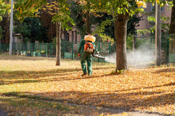 Best Affordable Pest Control Services  in Mount Pleasant, PA