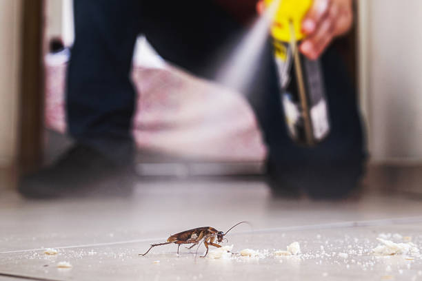  Mount Pleasant, PA Pest Control Pros