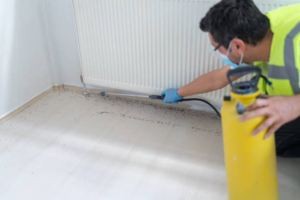 Best Best Pest Control Companies  in Mount Pleasant, PA